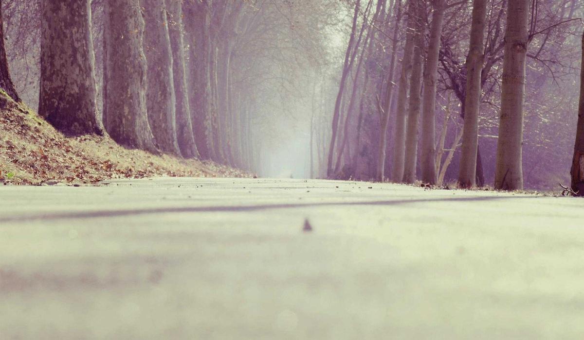 🇨🇿 Einreise aus Tschechien